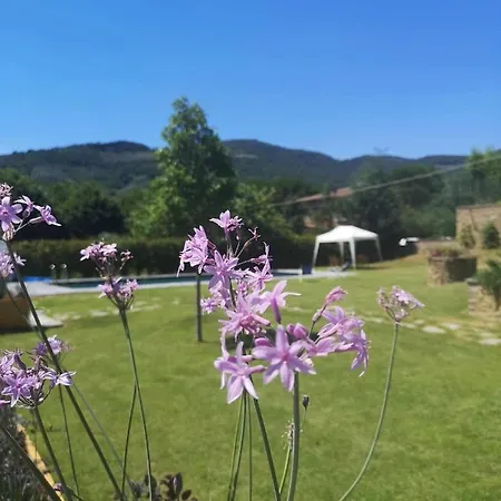 Alba Morus Bed&Breakfast sentiti a casa nel cuo-2